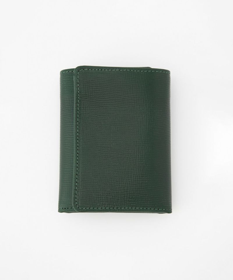 BOTTLE GREEN x CIGAR